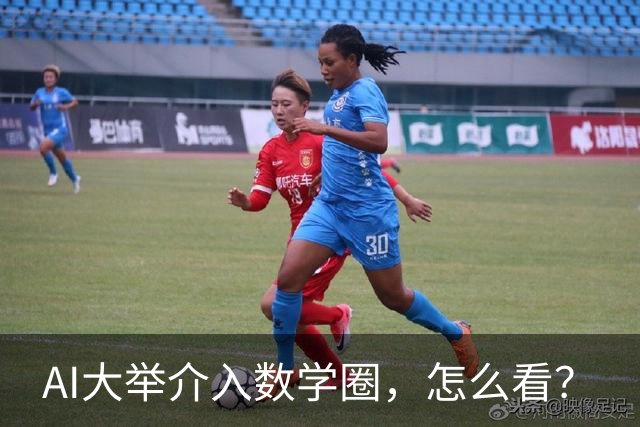 AI大举介入数学圈，怎么看？